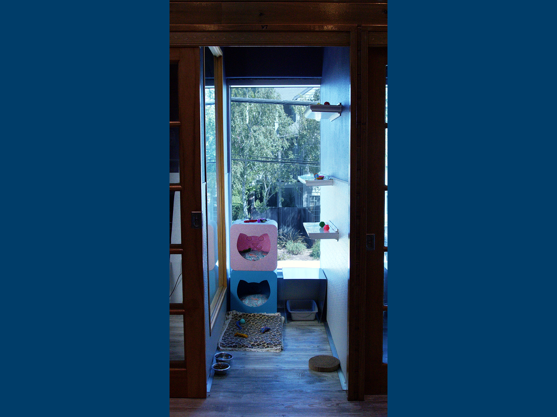 villas have room for multiple cats