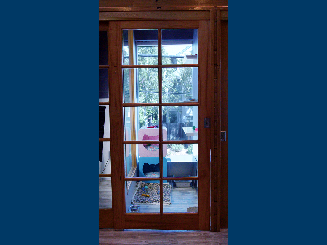 Cat room with a view