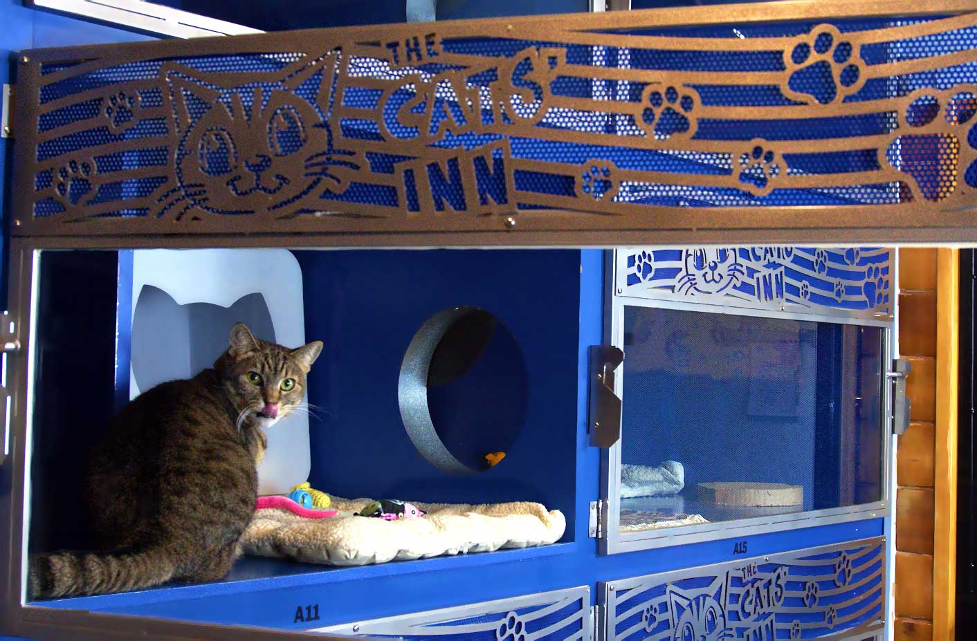 One of our adjoining suites