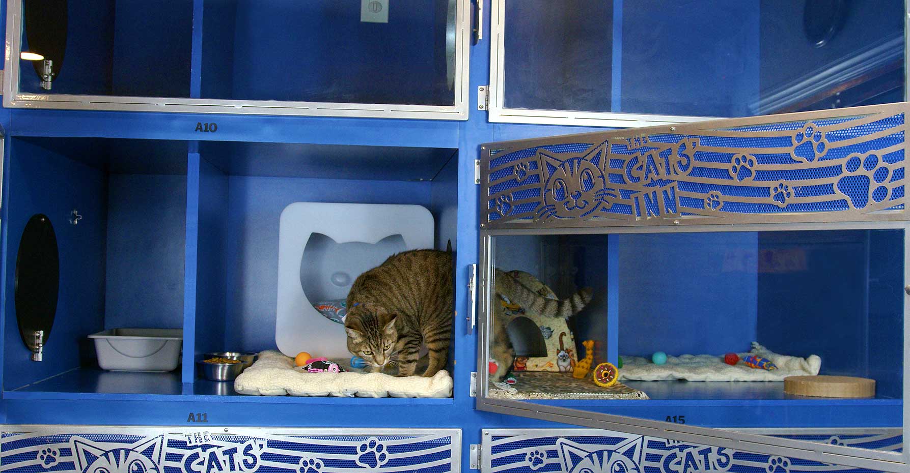 Plenty of room with adjoining suites