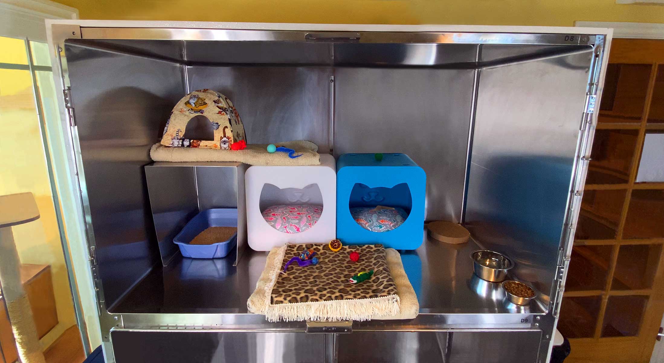 Spacious Double Suites for Cats