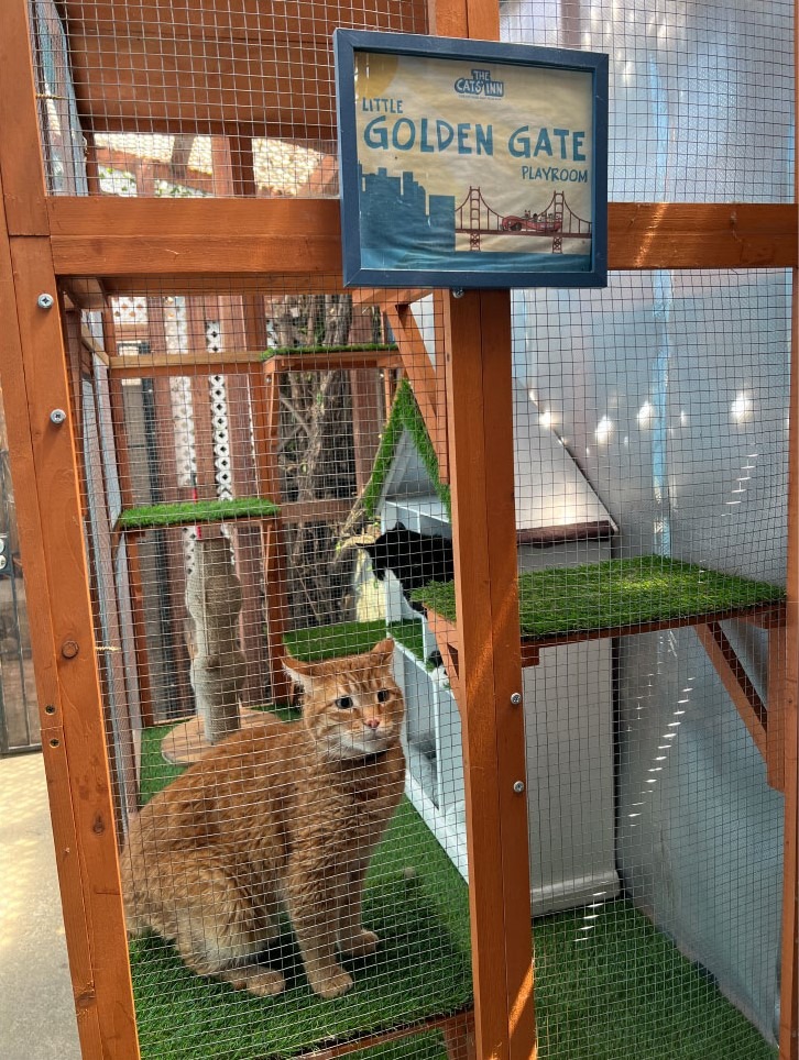 Our Outdoor Playroom