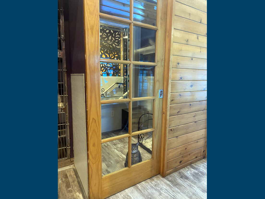 Our extra large villa suite