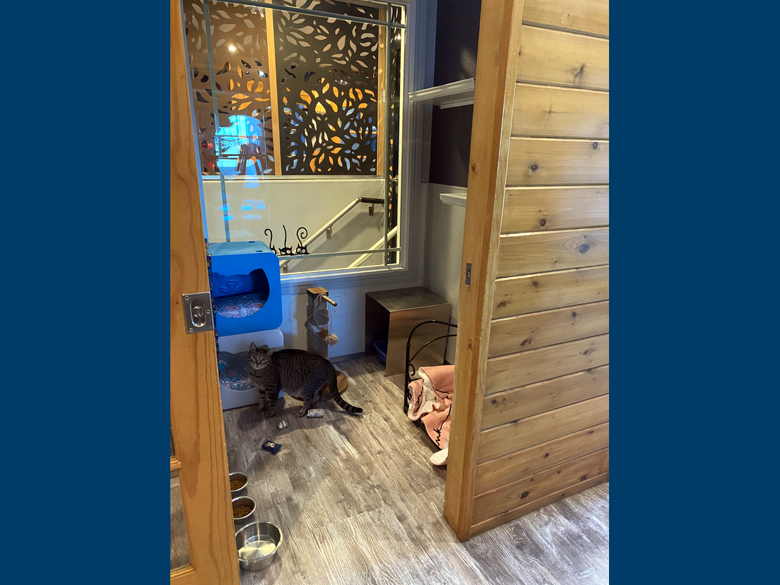 safe and secure in our suite