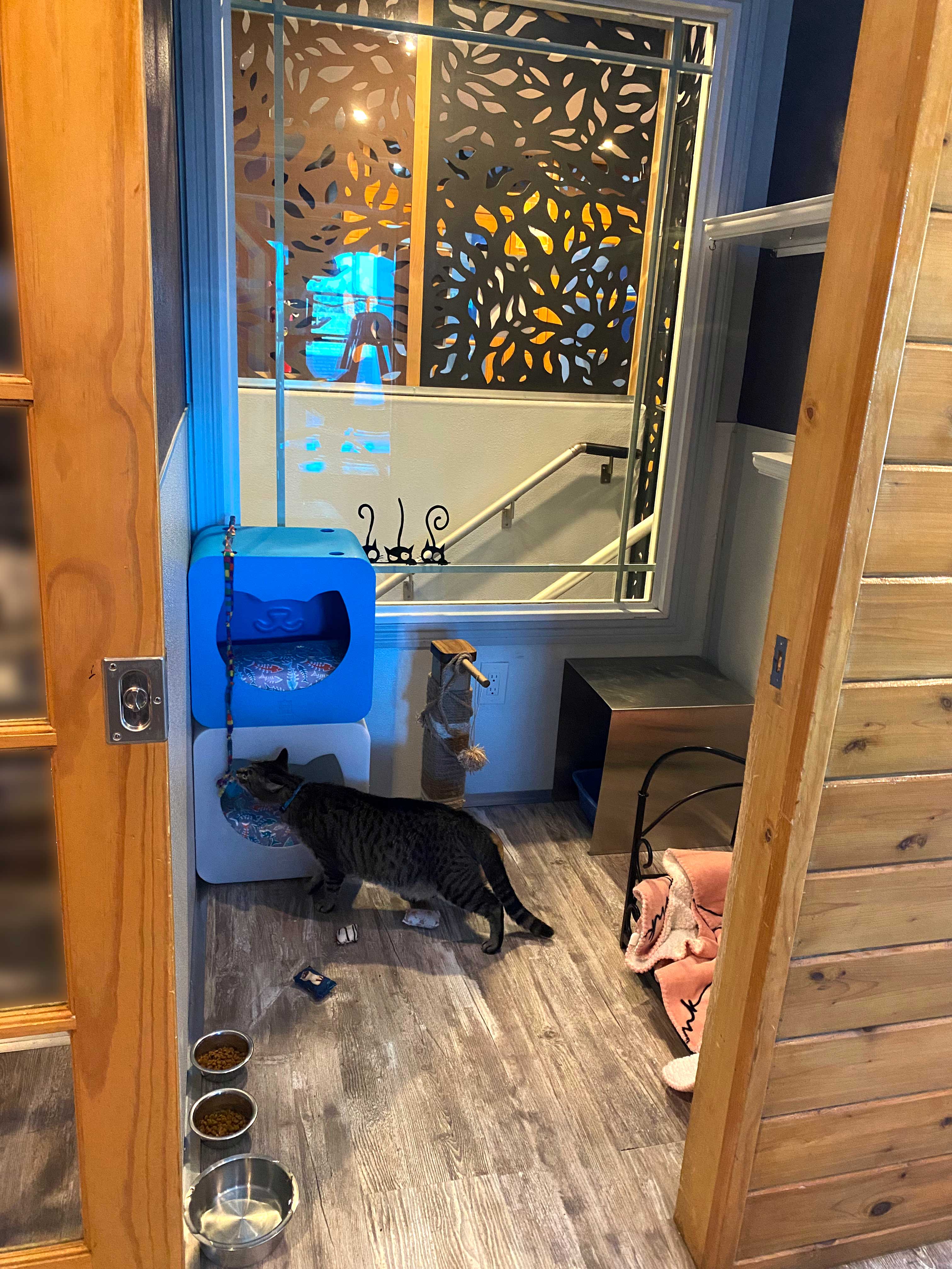 extra room for larger cat families