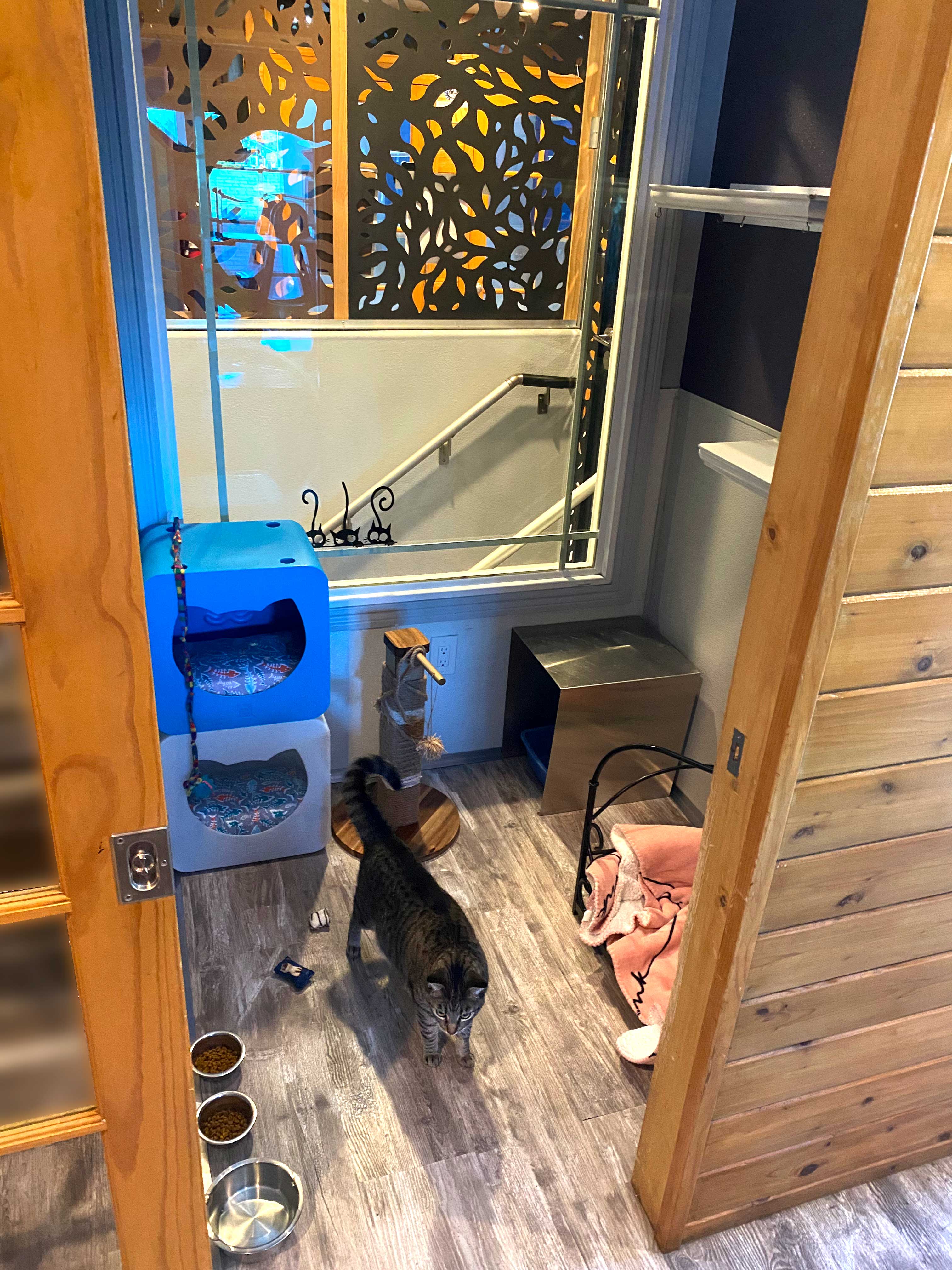 safe and secure in our suite