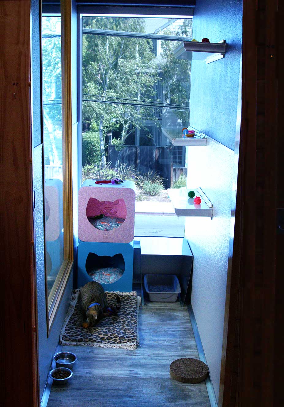 A spacious cat villa