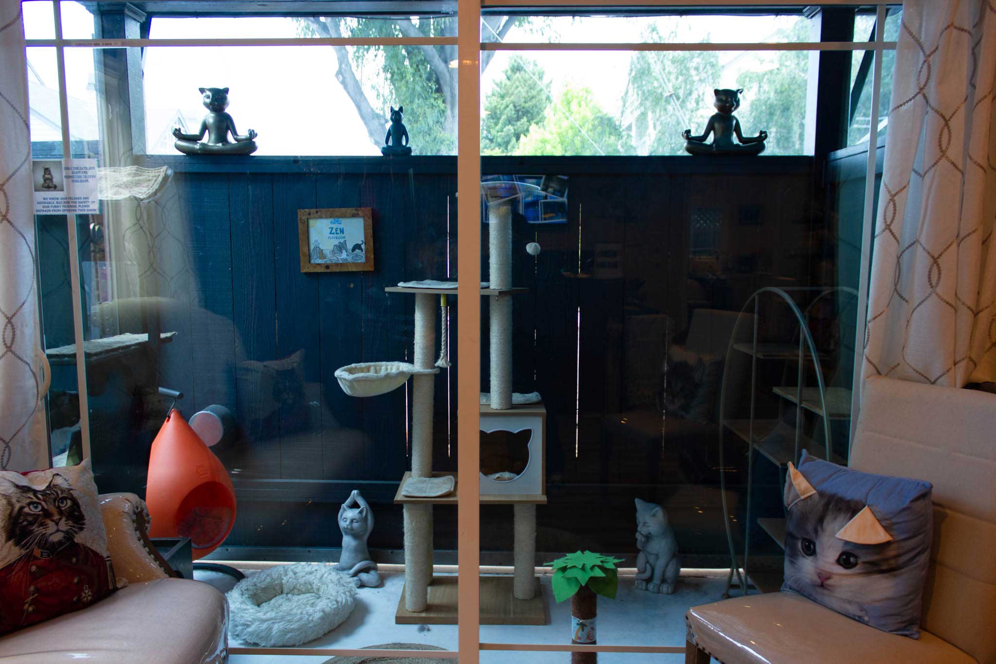 The Zen room at the Cats' inn